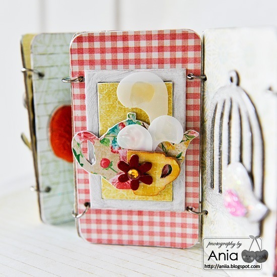 ania_accordion8_web_thumb ania_accordion8_web_thumb