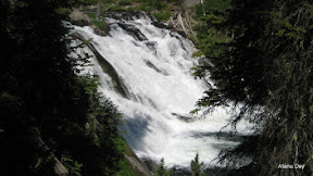 IMG_4190.jpg