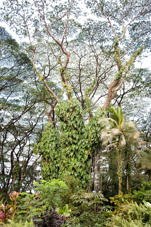 [20121214-IMG_3088-2%255B7%255D.jpg]