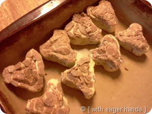 IMG_20120214_072820