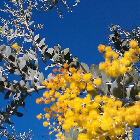 [IMG_20120618_160958%255B3%255D.jpg]