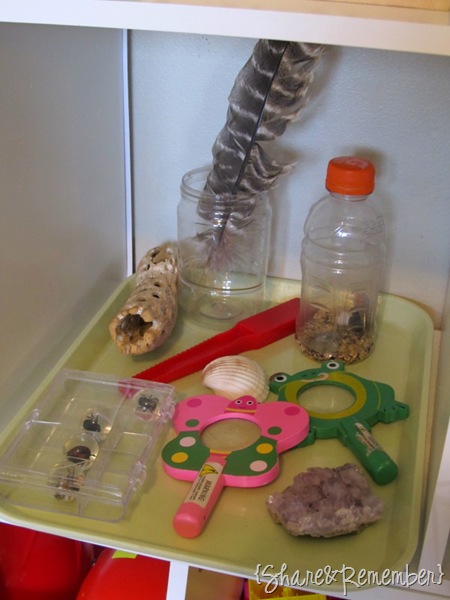 science science