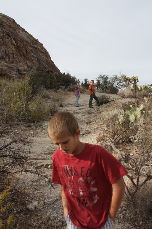 [saguaro%2520park-hike%2520013%255B4%255D.jpg]