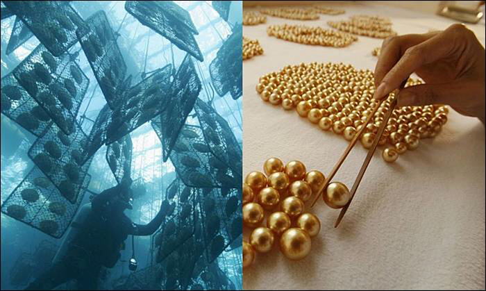 The making of Golden Pearl on the island of Palawan in southwestern Philippines