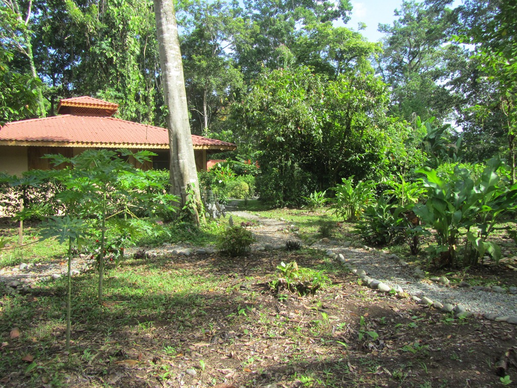[House%2520and%2520garden%255B3%255D.jpg]