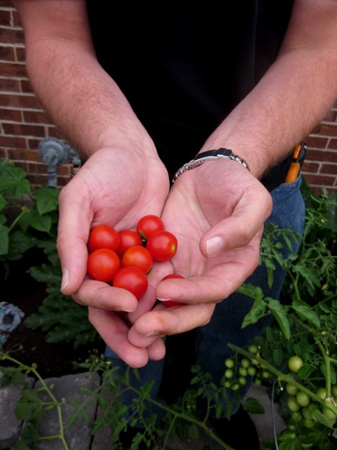 [tomatzj%255B5%255D.jpg]