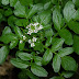 20120402_44