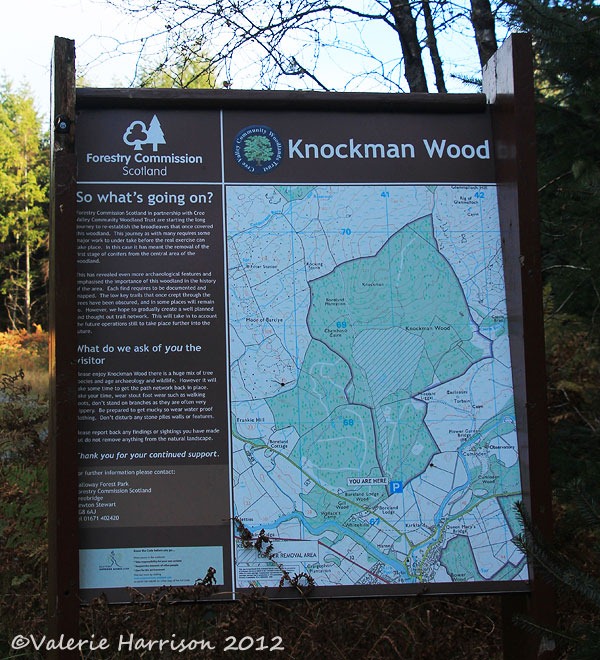 [2-Knockman-Wood-sign%255B2%255D.jpg]