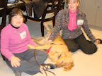 Willie worked in a last-minute belly rub before show time. He provided a great example of the many purebreds available through shelters and rescue.