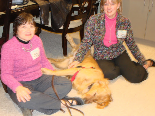 Willie worked in a last-minute belly rub before show time. He provided a great example of the many purebreds available through shelters and rescue.