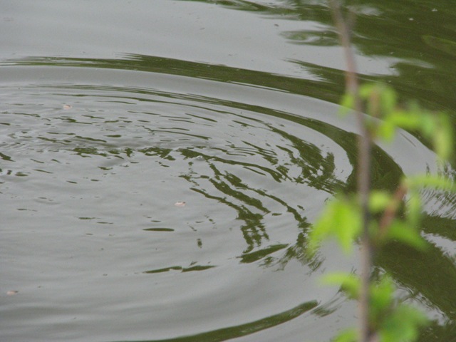 [IMG_1044%255B3%255D.jpg]