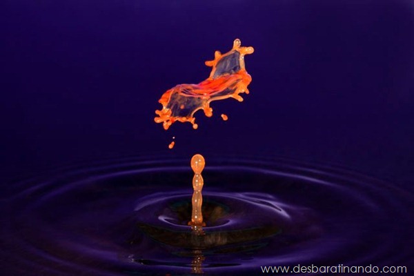 liquid-drop-art-gotas-caindo-foto-velocidade-hora-certa-desbaratinando (86)