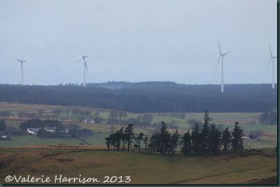 23-Whitelea-windfarm 23-Whitelea-windfarm
