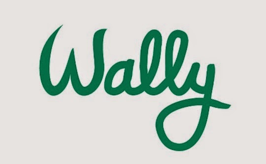 تطبيق المحفظة المالية Wally لإدارة دخلك وأمورك المالية