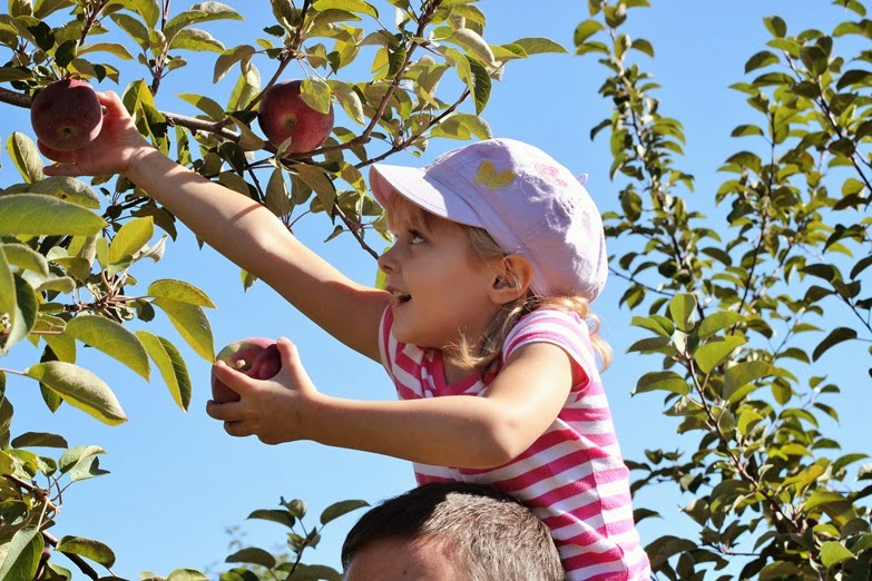 [IMG_9936%255B7%255D.jpg]