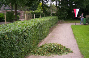 100_0748.jpg