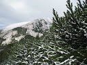 IMG_1501.jpg