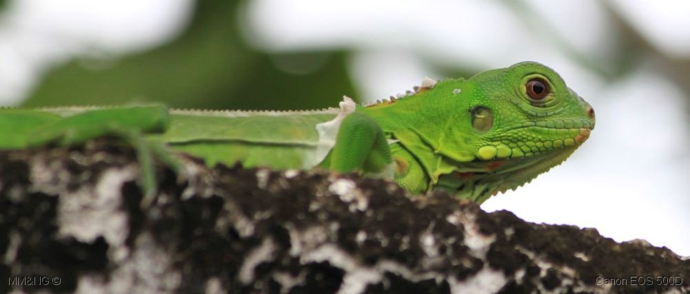 [IMG_9786%255B4%255D.jpg]