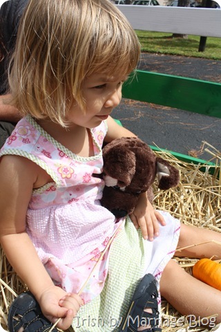 IMG_0525 IMG_0525