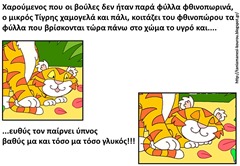 τι17 τι17