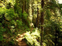 P530048318_filtered.jpg