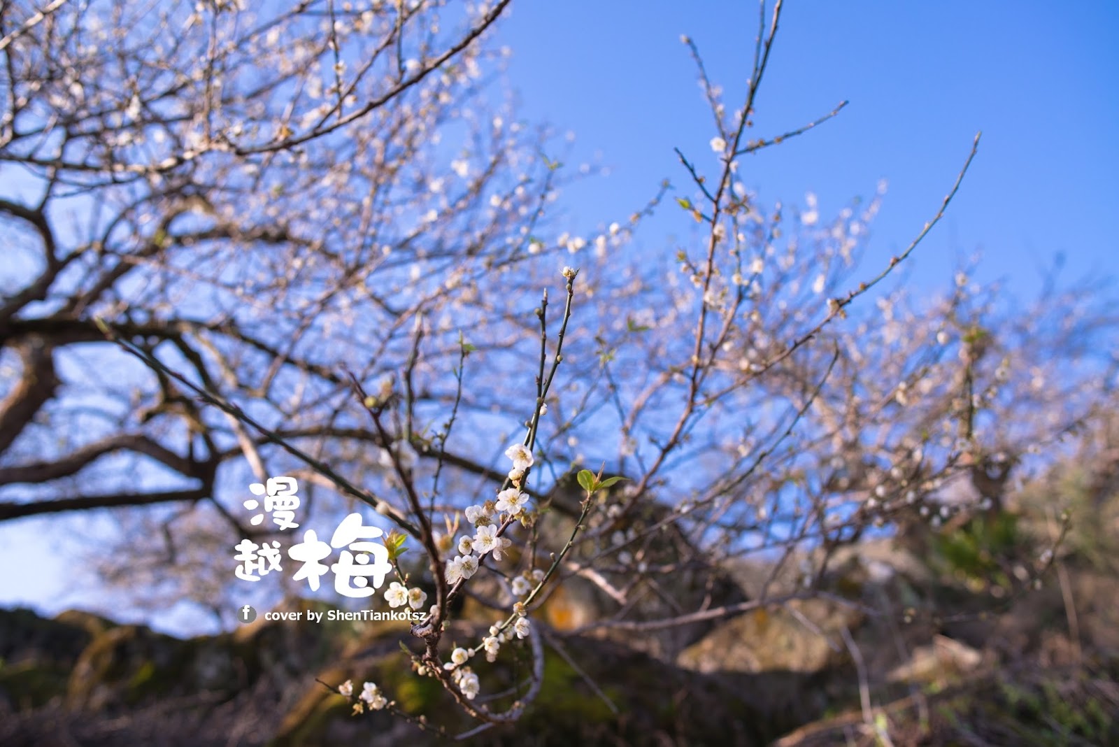 http://lh6.ggpht.com/-3Y2ANhHtQL8/VK3LXl_eLCI/AAAAAAAAPIY/KXPgBmmnZDg/s1600/ShenTiankotszDSC_3600.jpg