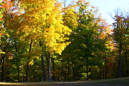 Trailhead