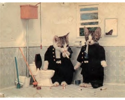 Two cats decided to marry..