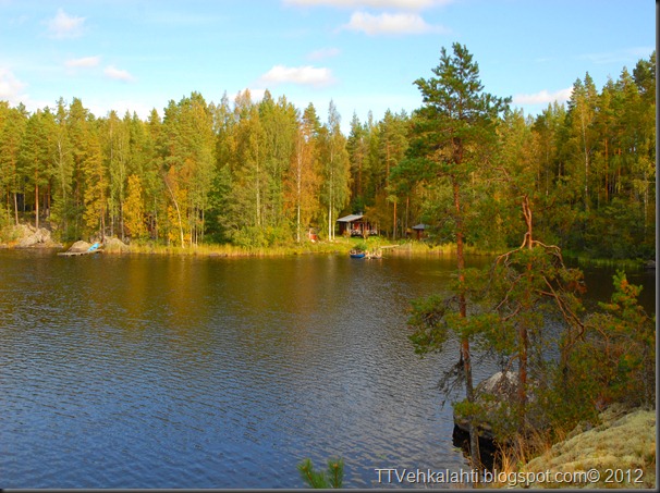 ötökät ikkunssa haukijärvi keloja 033 ötökät ikkunssa haukijärvi keloja 033