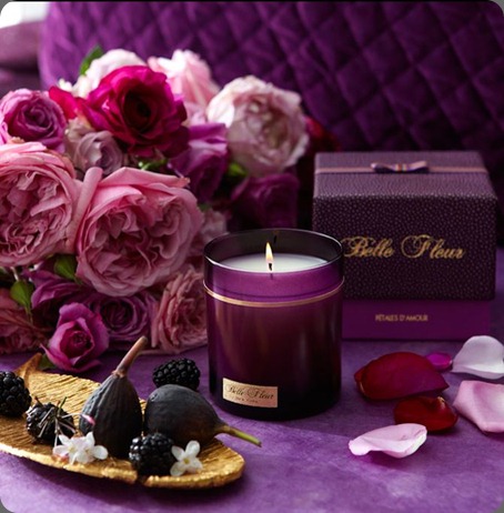 539460_10150697577407122_253351737121_9303533_472139368_n belle fleur