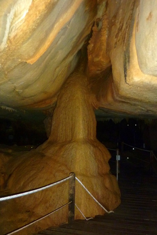 [P10808107.jpg]