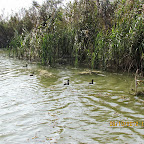 IMG_8066.JPG