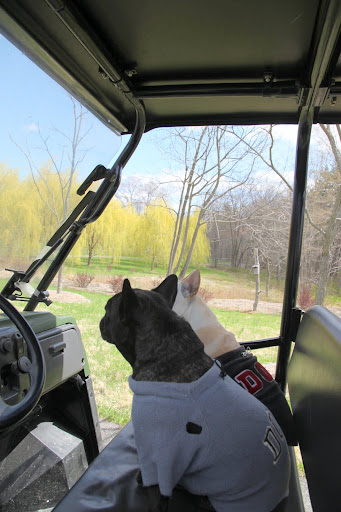 Sharkey, let me drive you to another amazing idea that Martha had.
