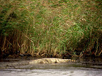 Kwazulu-Natal Tour Slideshow