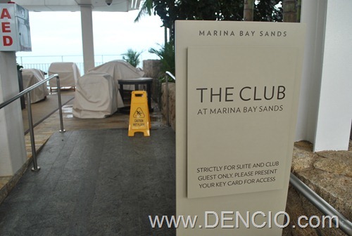 Marina Bay Sky Park and Infinity Pool02