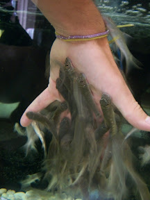 Thaïlande - Khiri Khan - Docteur Fish
