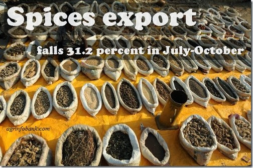 Spices export falls 31.2 percent in July-October Spices export falls 31.2 percent in July-October
