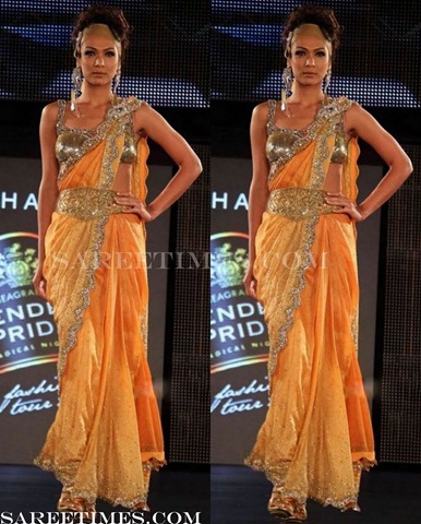 [Reynu_Tandon_Orange_Designer_Saree%255B3%255D.jpg]