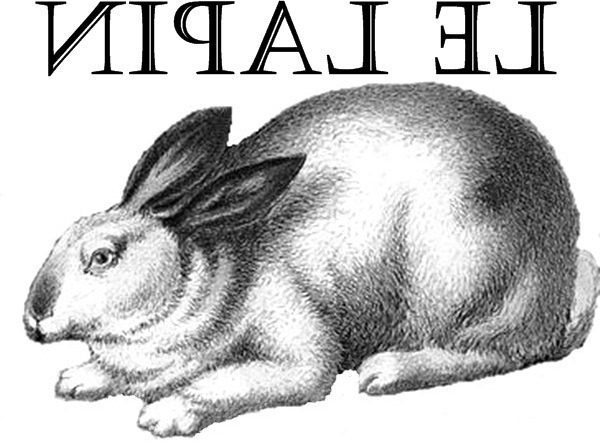 [ballard%2520bunny%2520transfer%255B5%255D.jpg]