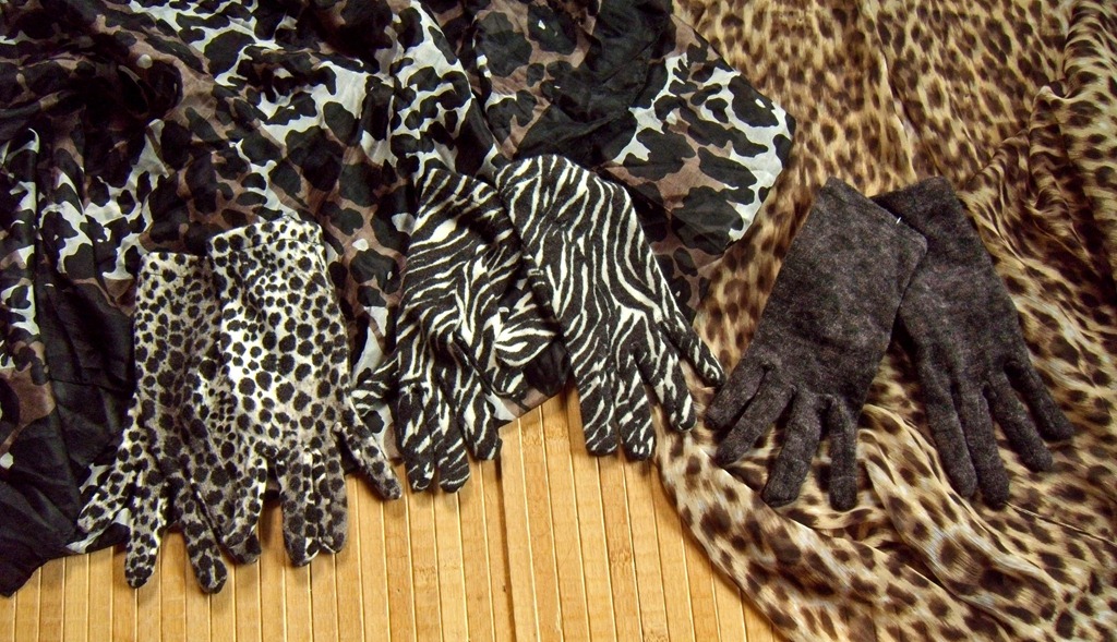 [Animalize-017.jpg]