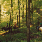 Bainbridge_Trail.jpg