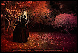 10113453%252520 %2525202%2525201 Gothic girl Pictures of the Week