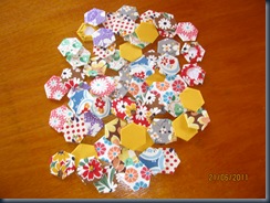 IMG_2362 IMG_2362