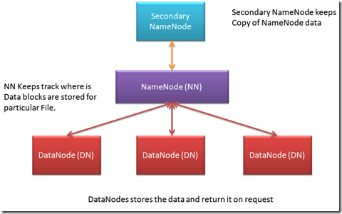 hadoop Namenode and Datanode