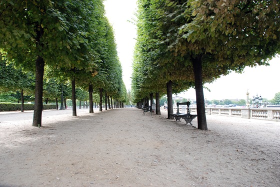 A Line of Trees