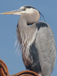IMG_1372.JPG