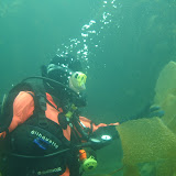 17 - Buceo en el Canal Beagle
