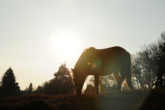 [DSC_4969%255B3%255D.jpg]