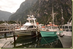milford - Nikon 020