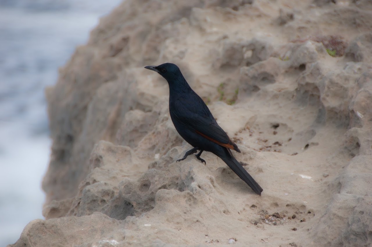 De Hoop Nature Preserve